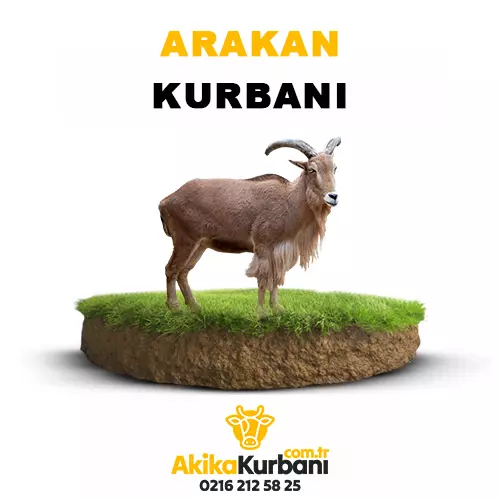 Arakan Kurban