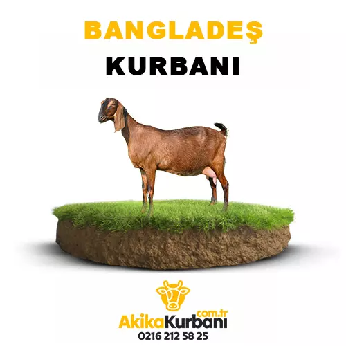 Bangladeş Kurban