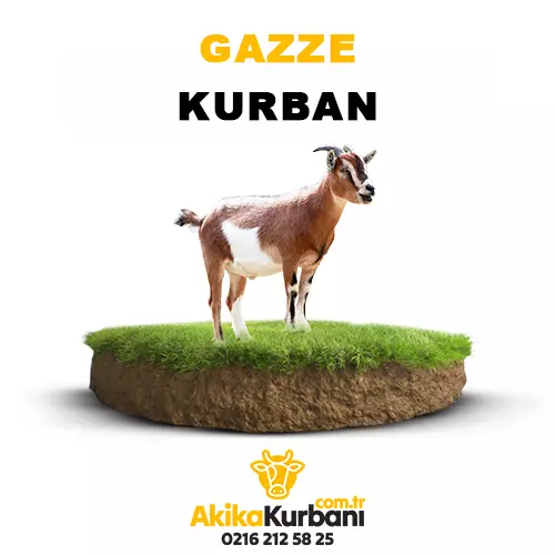 Gazze Kurban