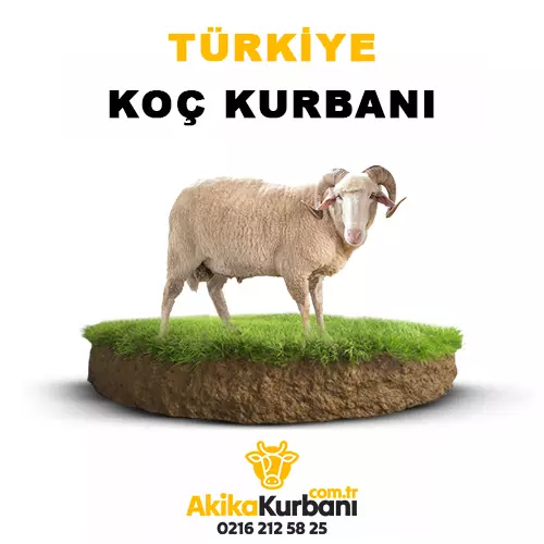 Türkiye Koç