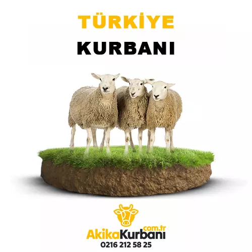 Türkiye Küçükbaş